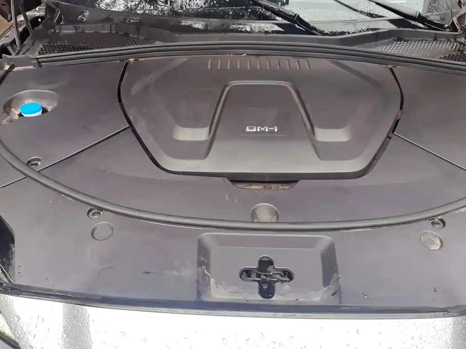 BYD Song PLUS New Energy 2024 — фото 10
