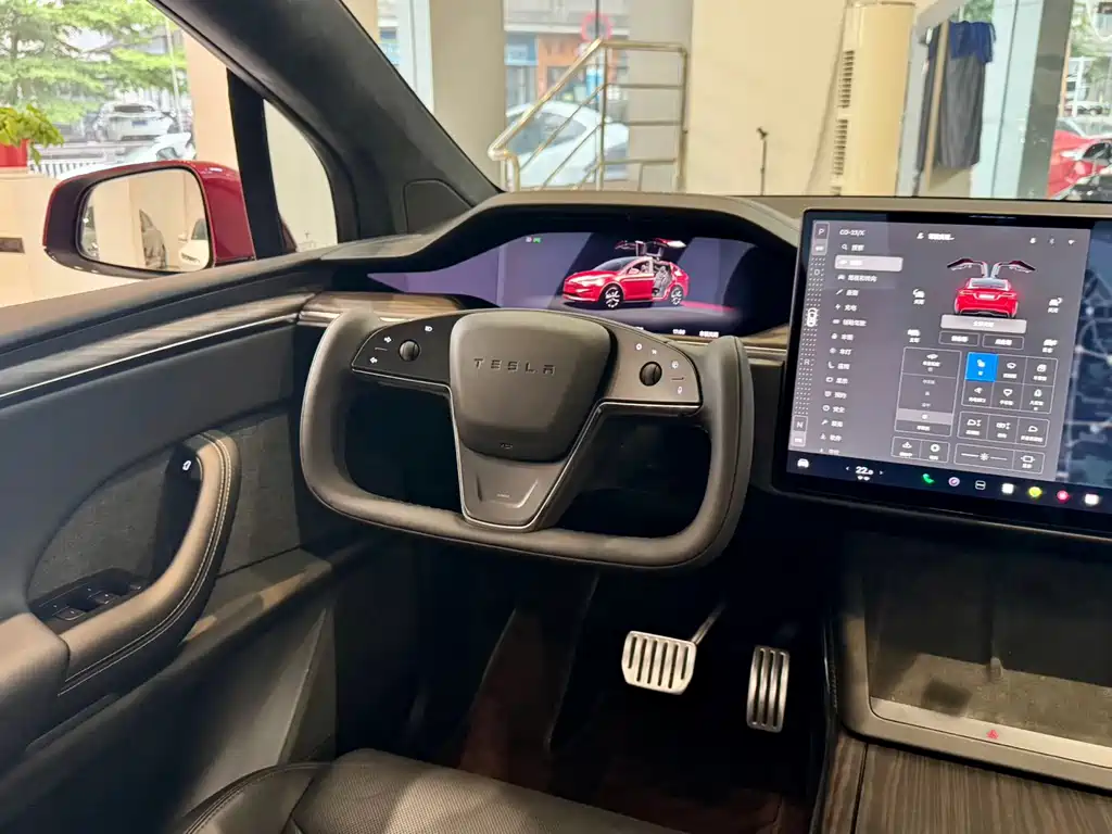 Tesla Model X 2023 — фото 10