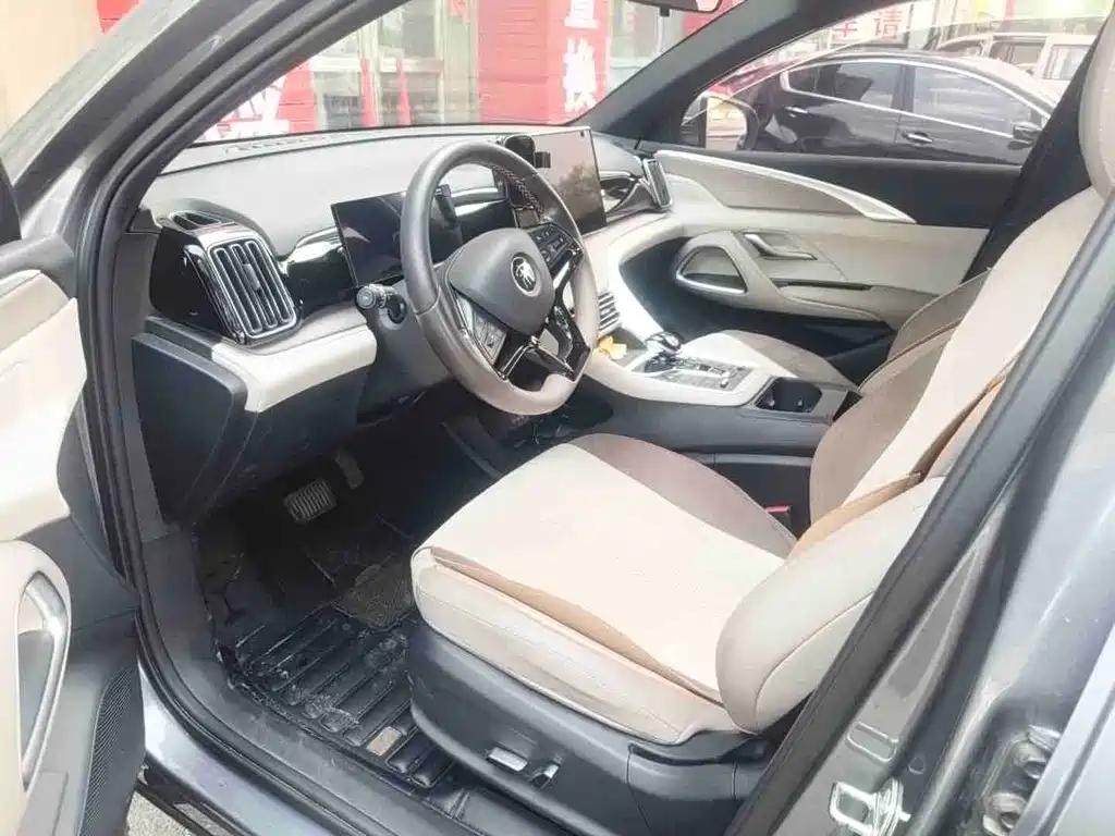 BYD Pro New Energy 2023