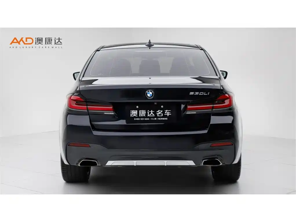 BMW 5 Series 2021