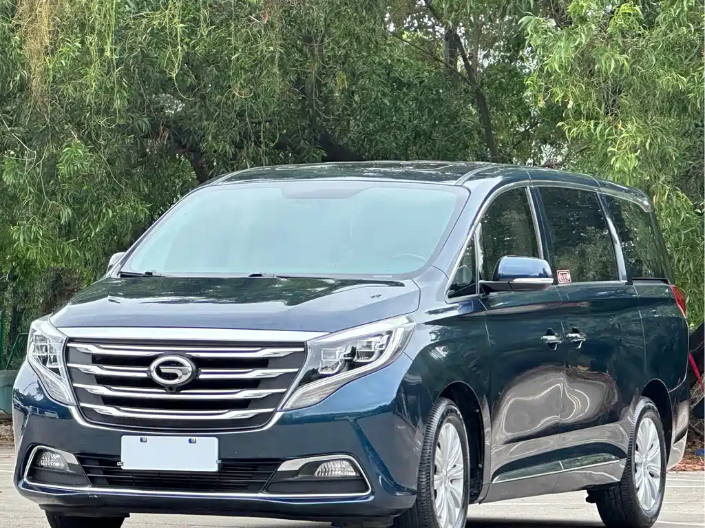 GAC Trumpchi M8 2018 — фото 1