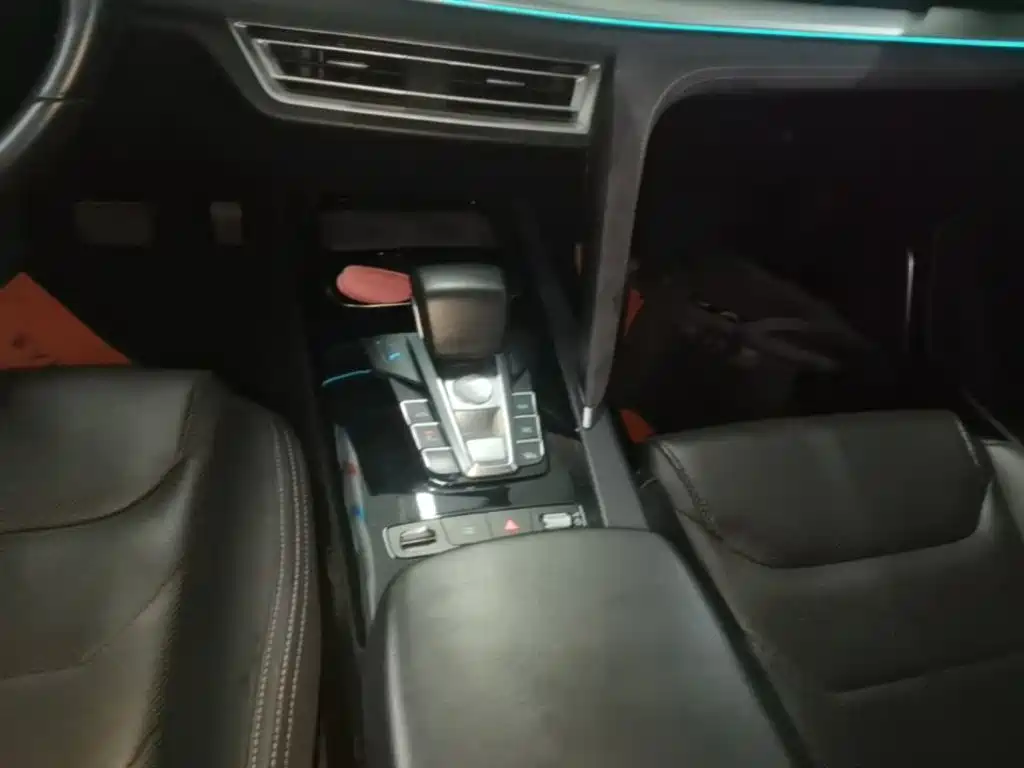 BYD Song Pro New Energy 2020 — фото 14