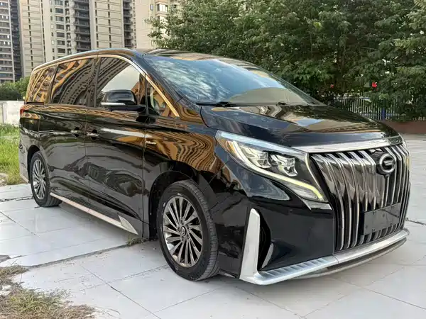 GAC Trumpchi M8 2020