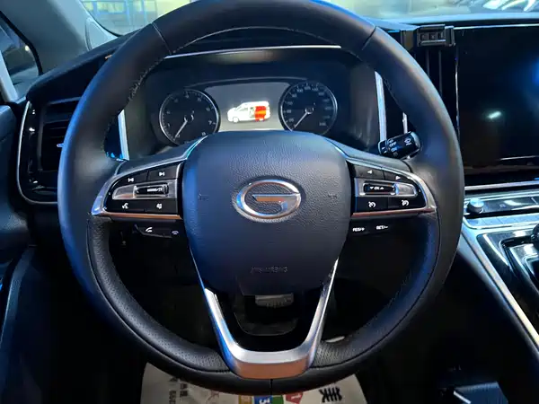 GAC Trumpchi M8 2020