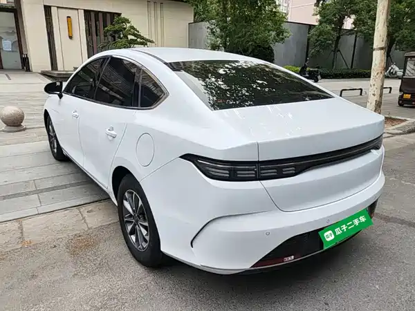 BYD Destroyer 05 2024