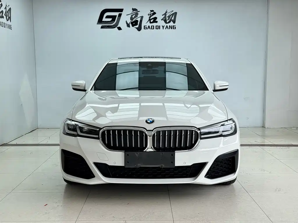 BMW 5 Series 2021