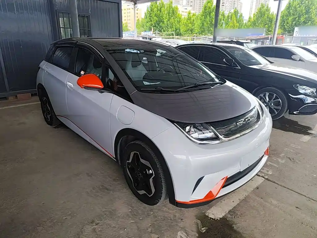 BYD Dolphin 2021