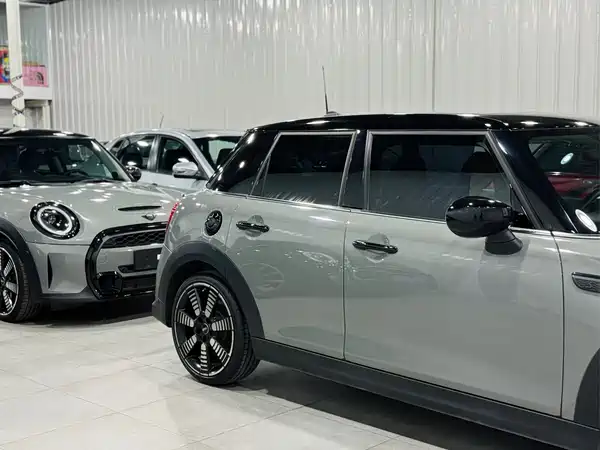 MINI MINI 2022