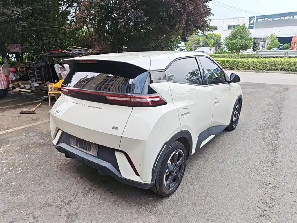 BYD Seagull 2024