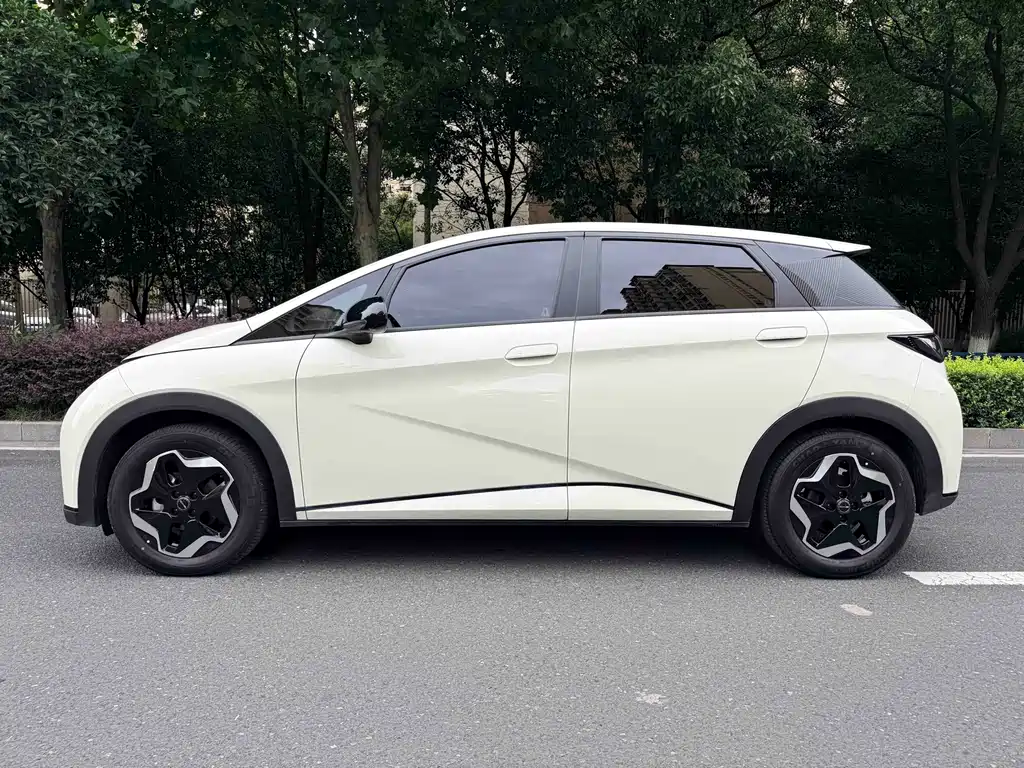 BYD Dolphin 2023