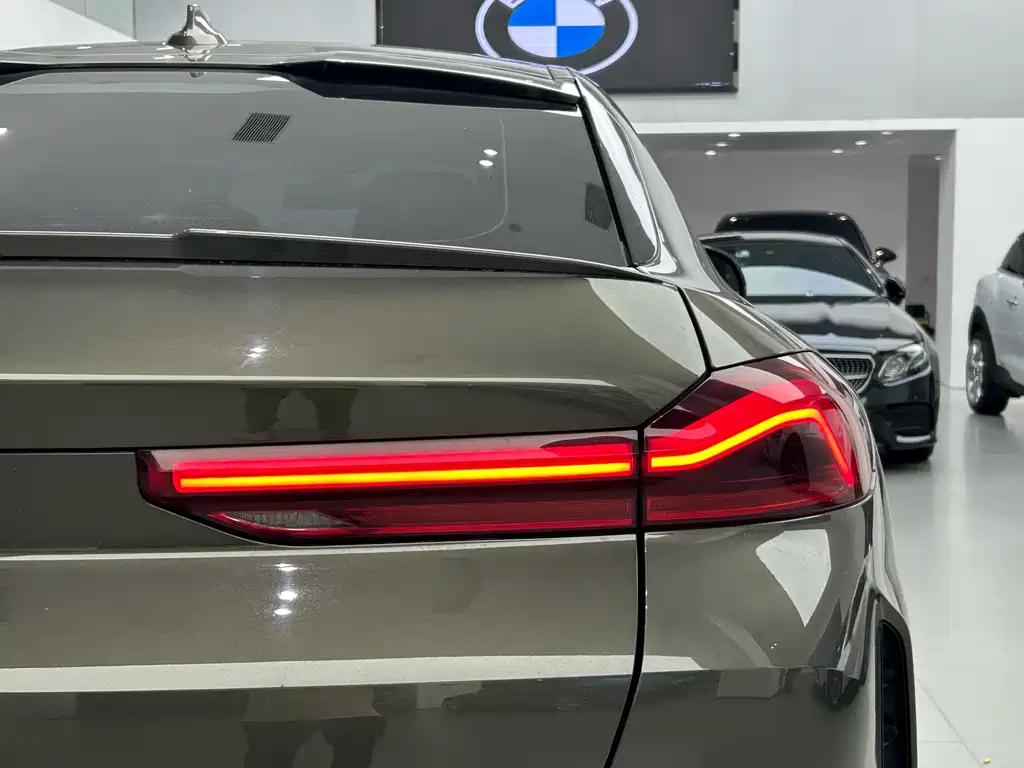 BMW X6 2020 — фото 13