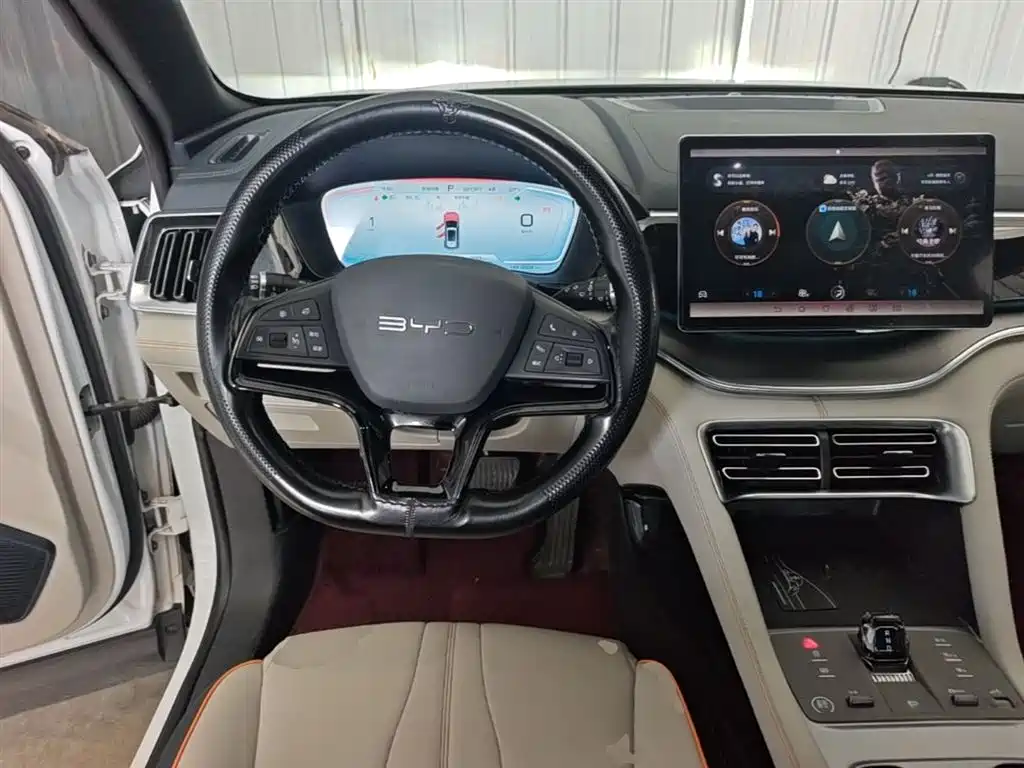 BYD PLUS New Energy 2024 — фото 11