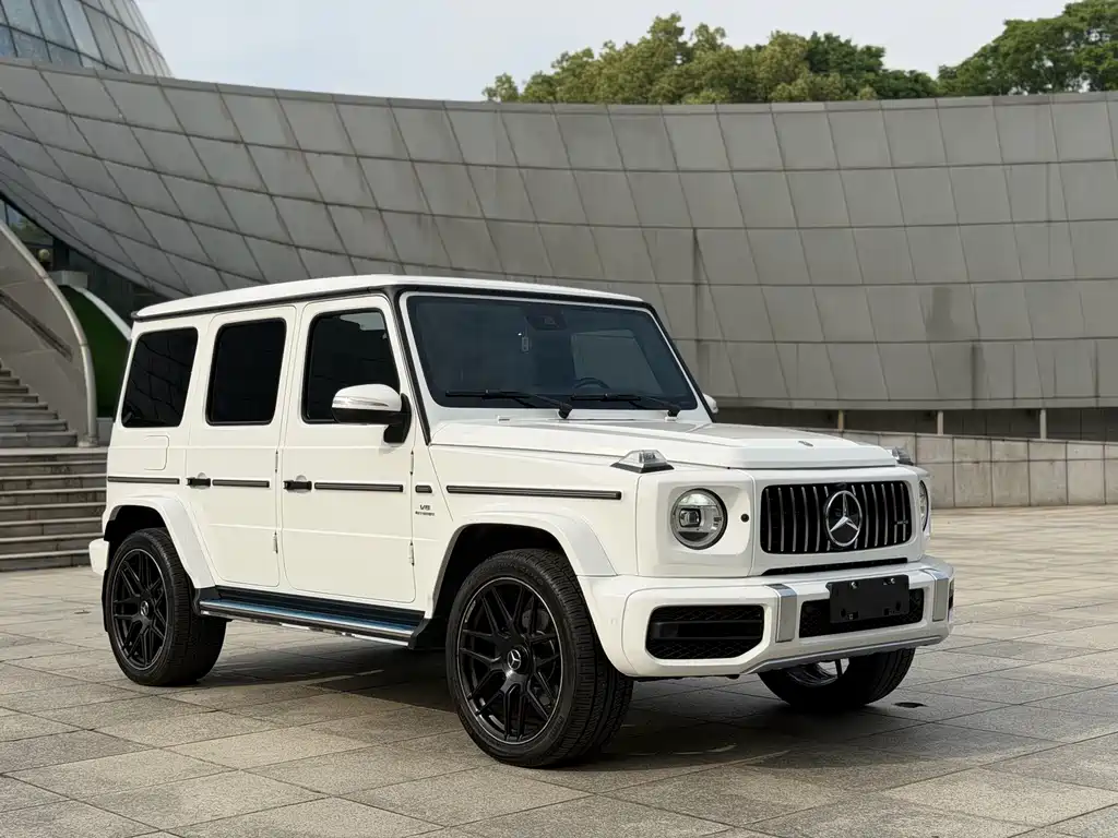 Mercedes-Benz G-Class 2019 — фото 3