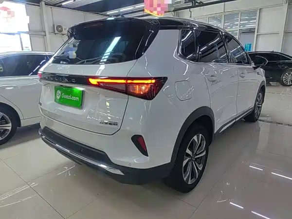 Wuling Star 2023