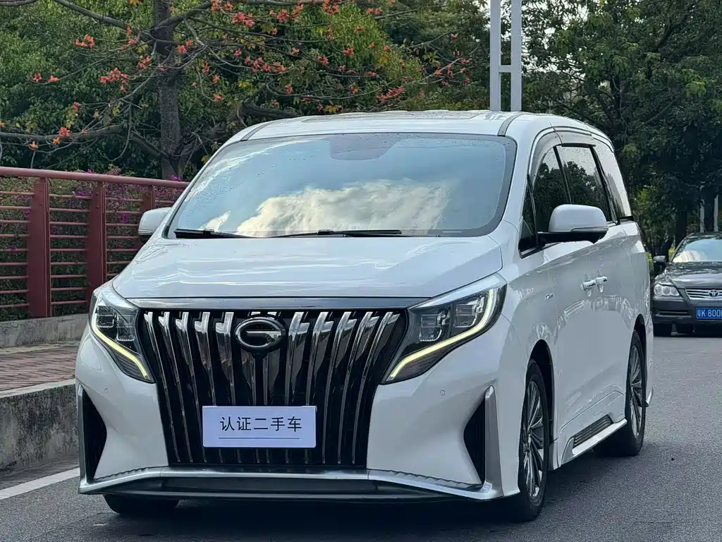 GAC Motor Trumpchi M8 2021 — фото 1