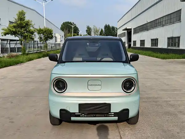 Geely Galaxy Panda 2023