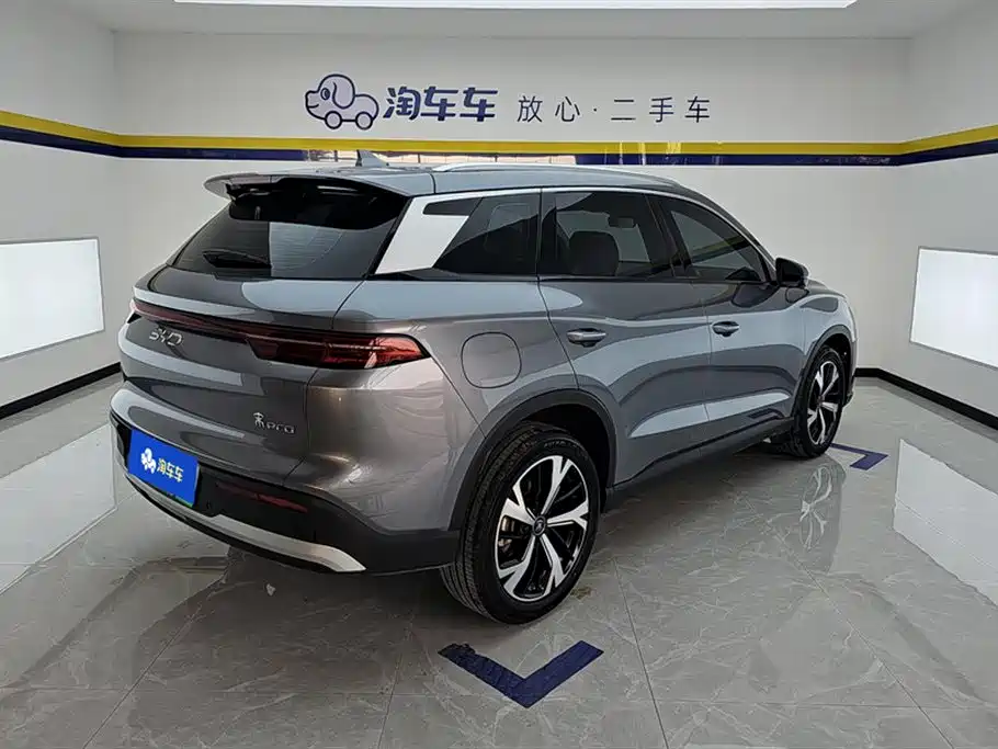 BYD Pro New Energy 2024 — фото 3