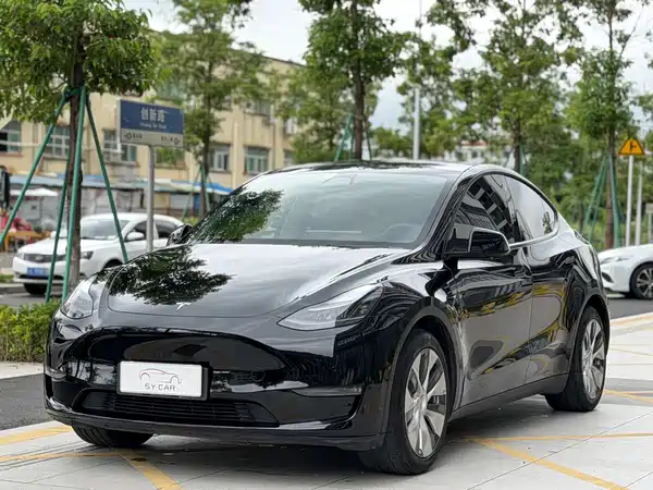 Tesla Model Y 2021
