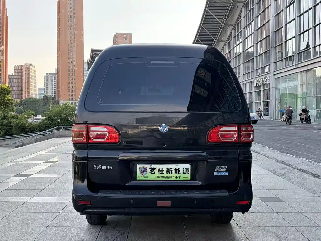 Dongfeng Lingzhi New Energy 2021