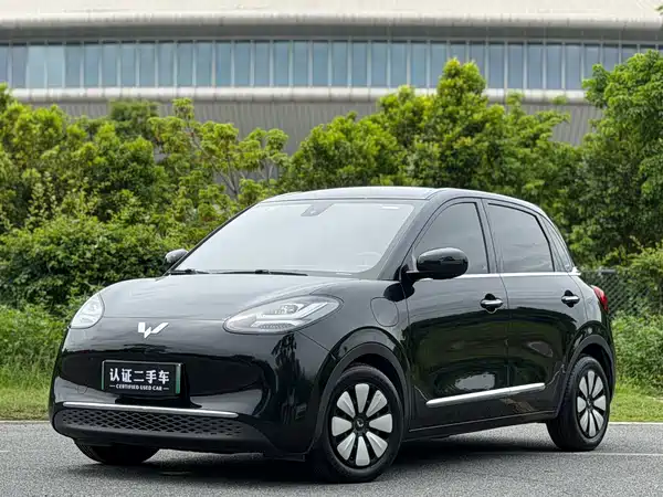 Wuling Bingo 2023