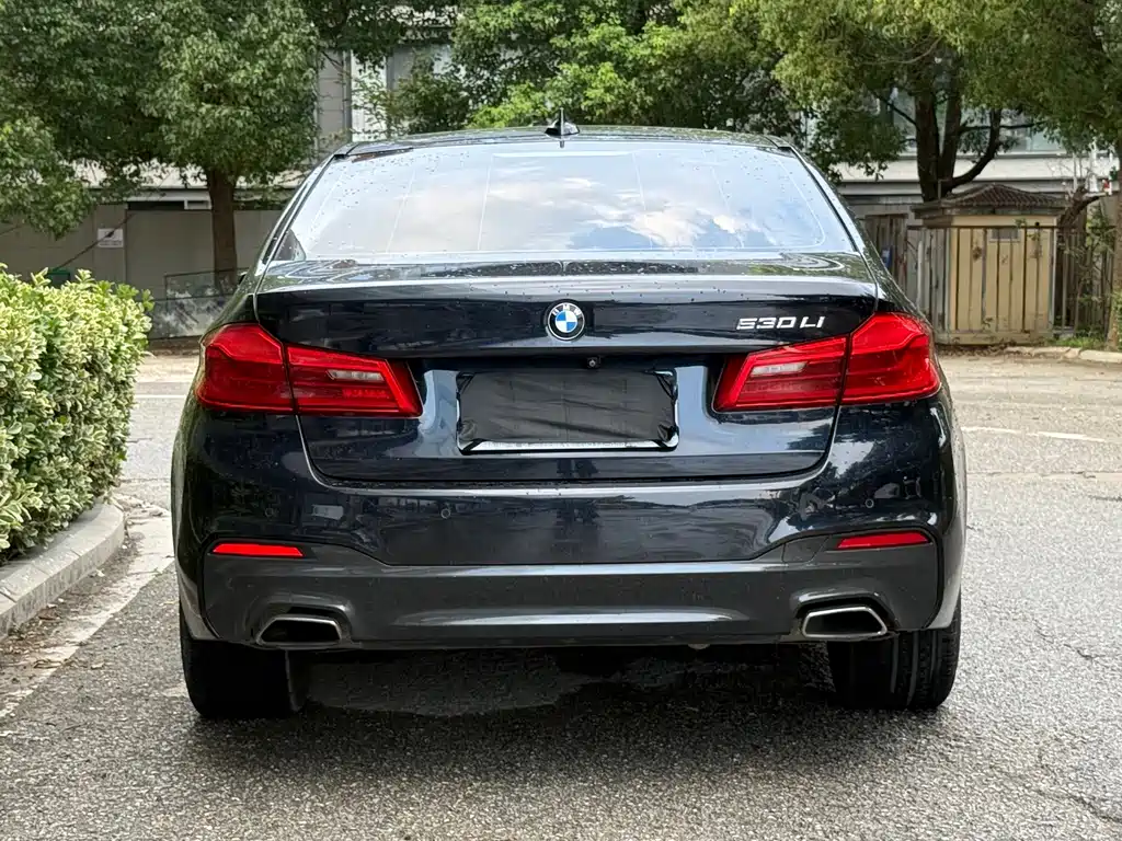 BMW 5 Series 2019
