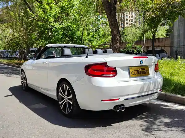 BMW 2 Series 2020