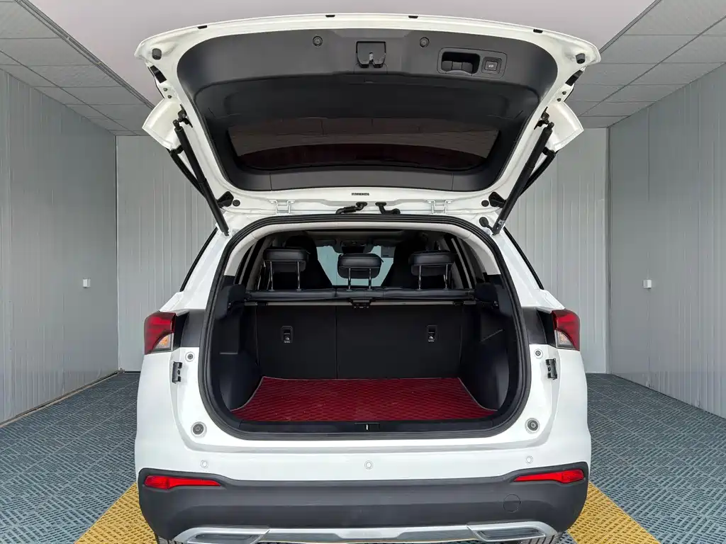 GAC Trumpchi GS4 2022 — фото 19