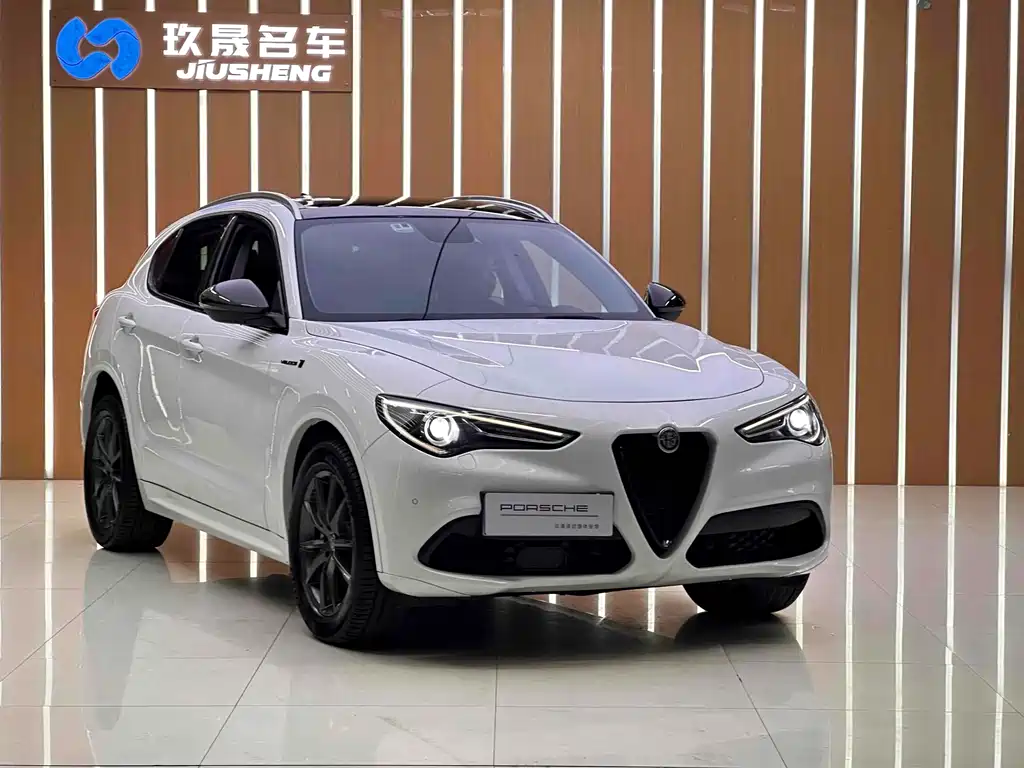Alfa Romeo Stelvio 2019 — фото 3