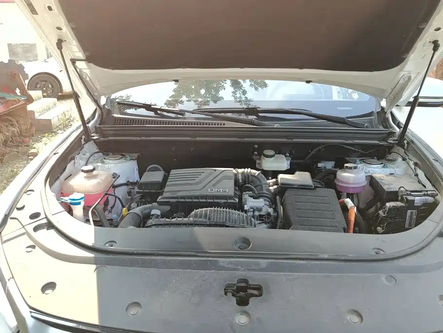 BYD Song Pro New Energy 2024 — фото 10