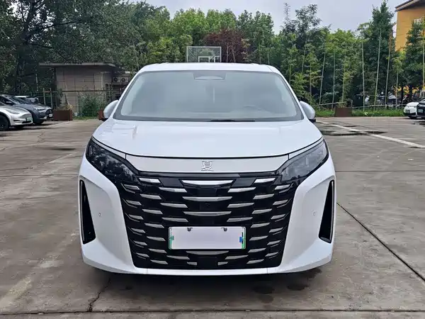 BYD Summer 2025