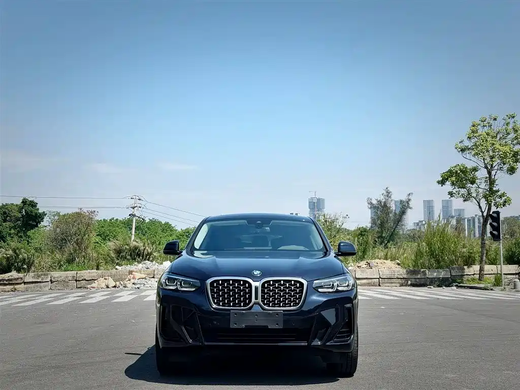 BMW X4 2022 — фото 2