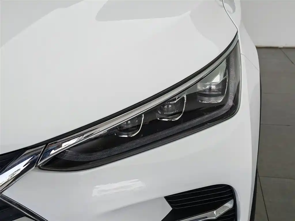 BYD Tang New Energy 2019 — фото 7