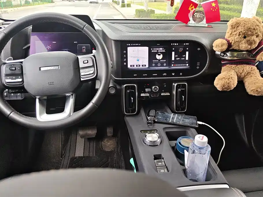 Haval Big Dog 2021 — фото 12