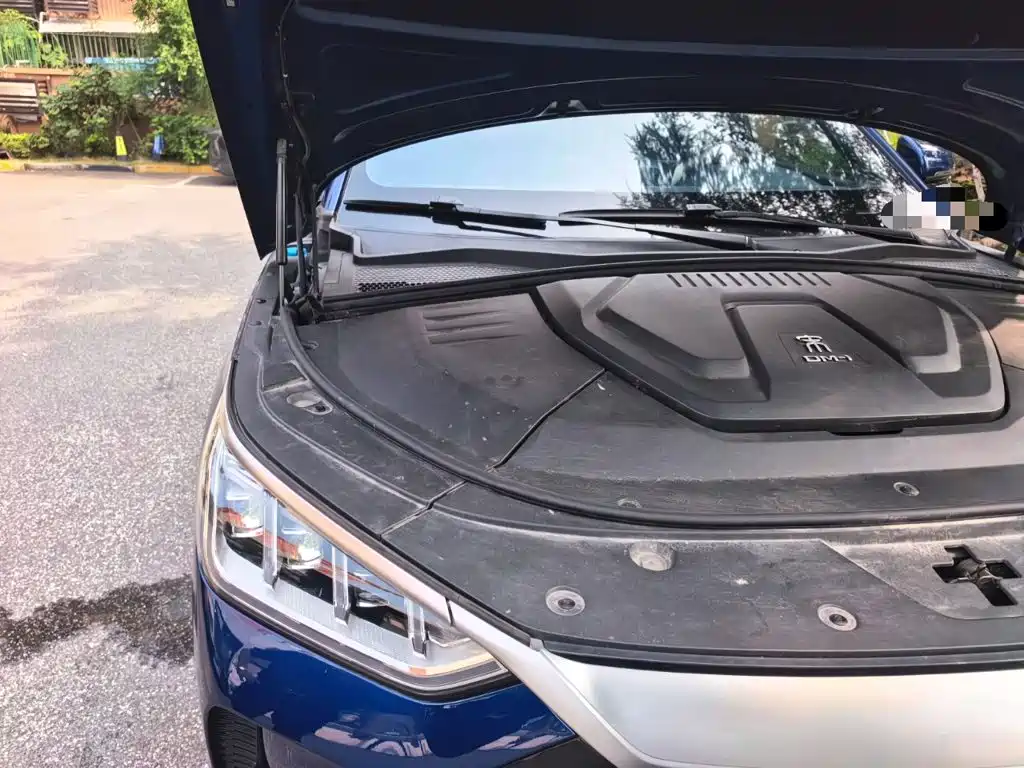 BYD Song PLUS New Energy 2022 — фото 21