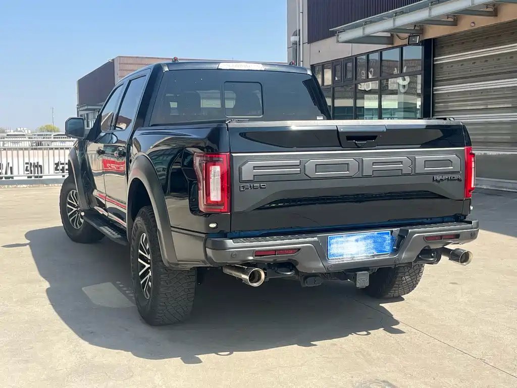 Ford F-150 Raptor 2019 — фото 9