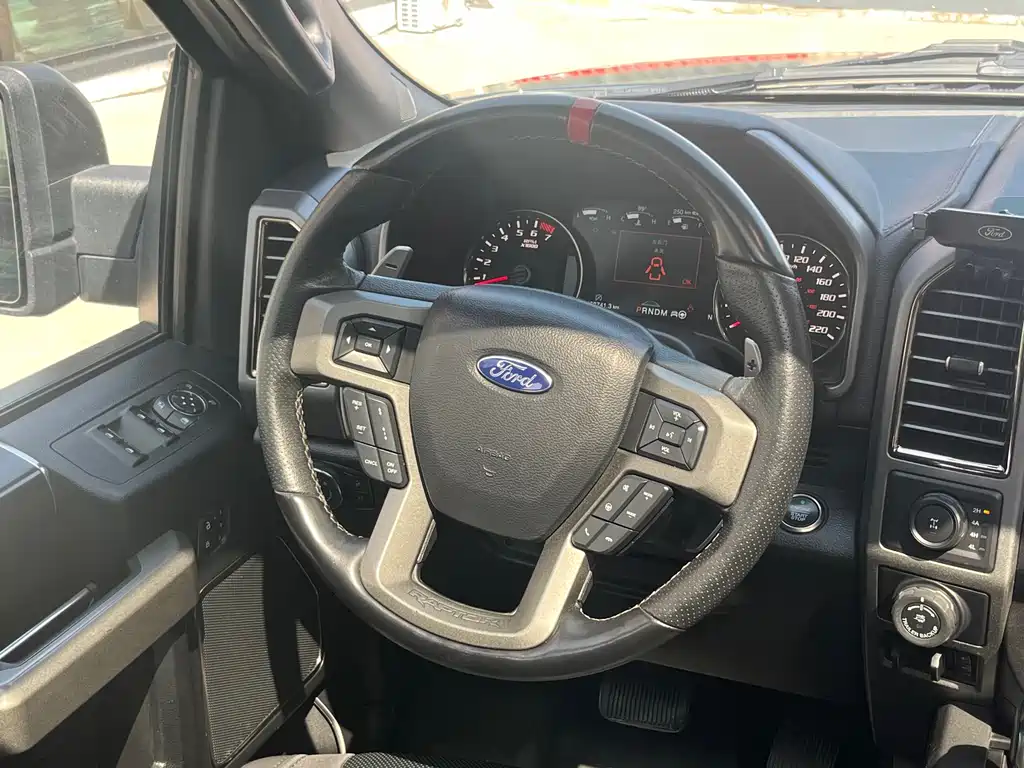 Ford F-150 Raptor 2019 — фото 12