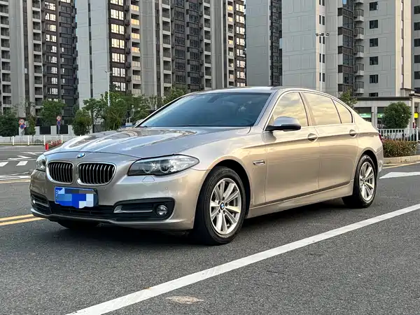 BMW 5 Series 2014