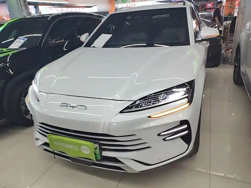 BYD PLUS New Energy 2024 — фото 3