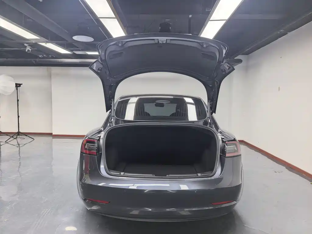 Tesla Model 3 2020 — фото 10