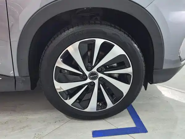 BYD Song PLUS New Energy 2024