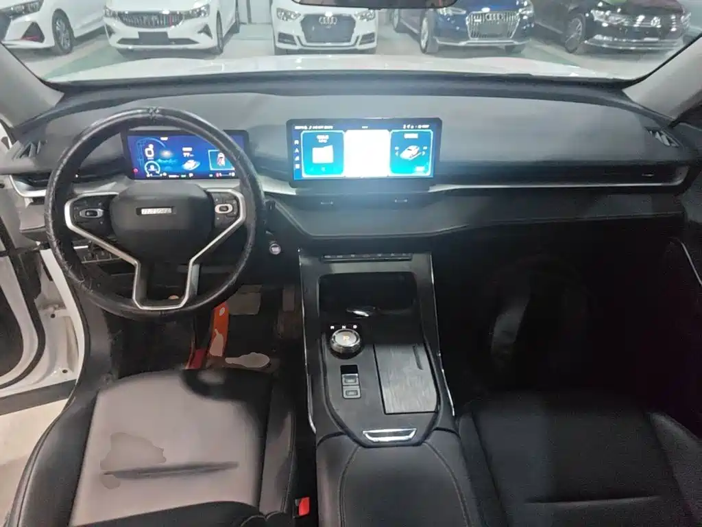 Haval H6 2023 — фото 10