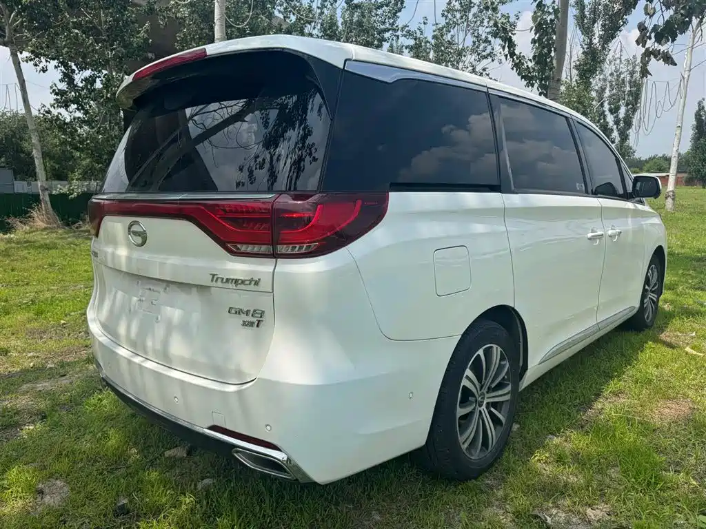 GAC Motor Trumpchi M8 2019 — фото 7
