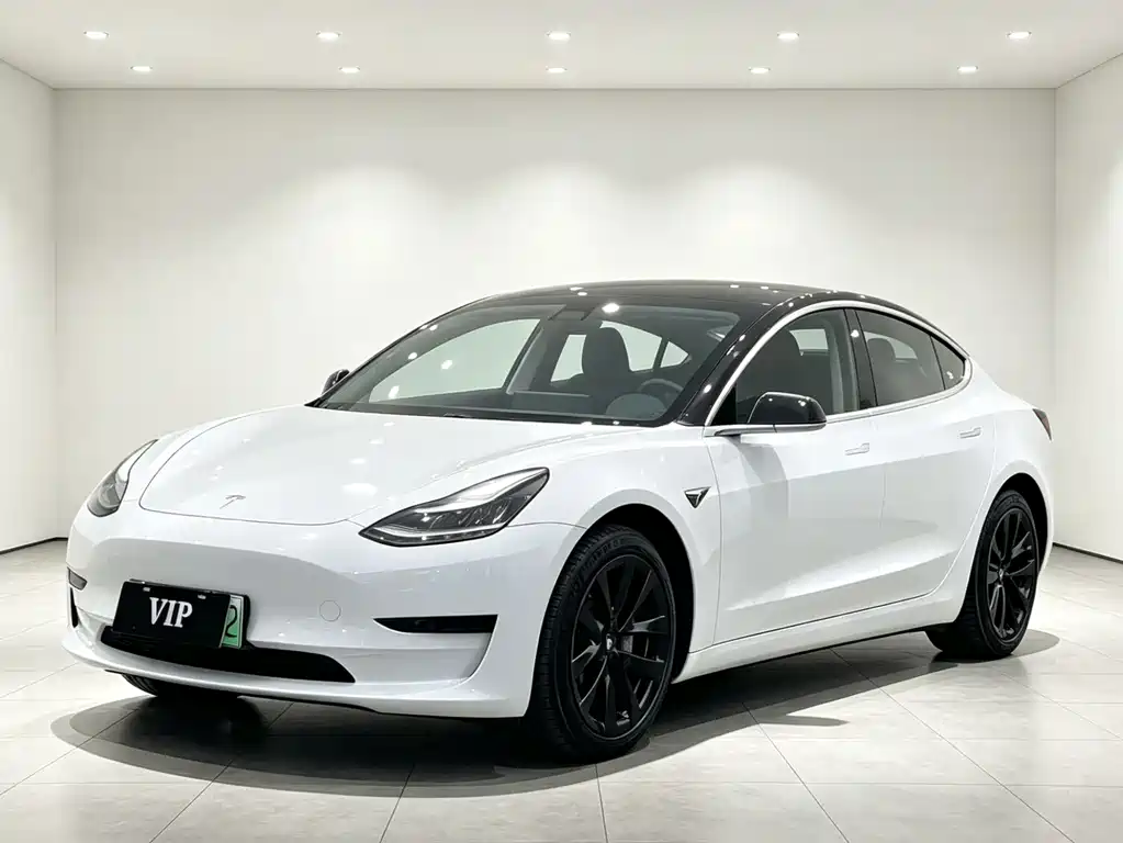 Tesla Model 3 2021 — фото 3