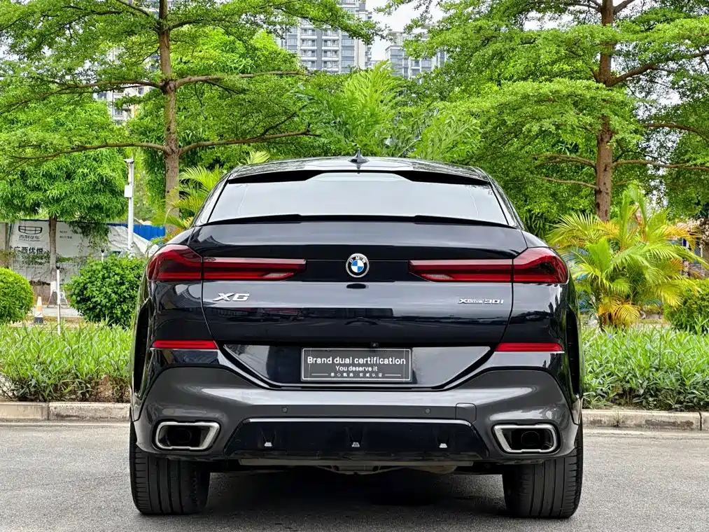 BMW X6 2020 — фото 7