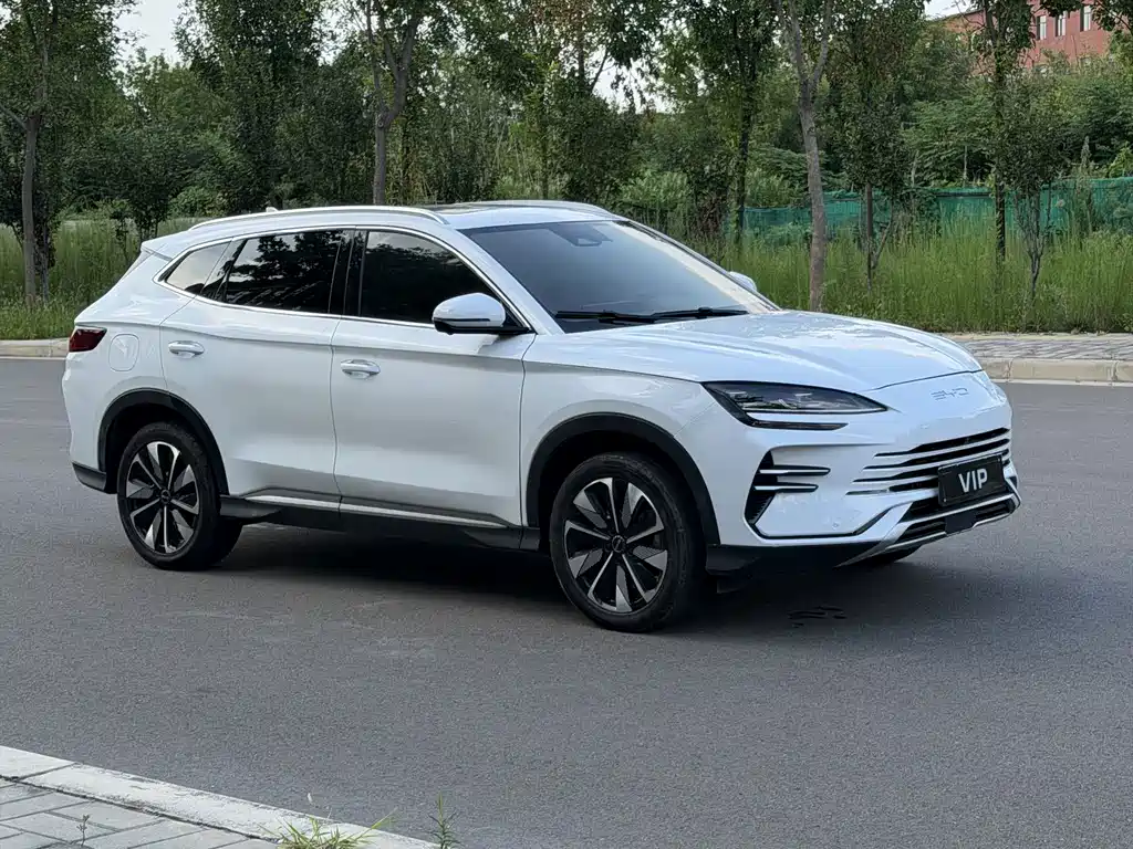 BYD Song PLUS New Energy 2024 — фото 3