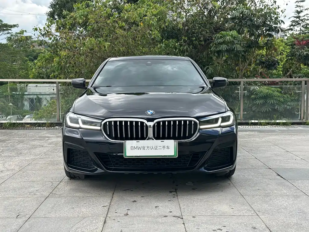 BMW 5 Series New Energy 2021 — фото 2