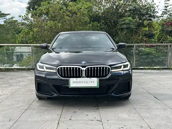 BMW 5 Series New Energy 2021