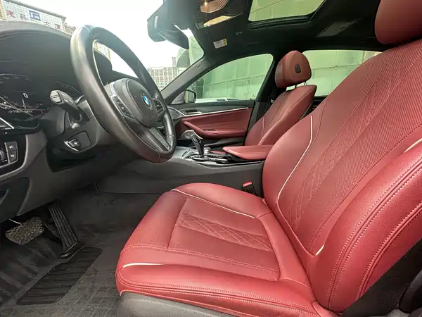 BMW 5 Series New Energy 2021