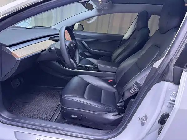 Tesla Model 3 2019