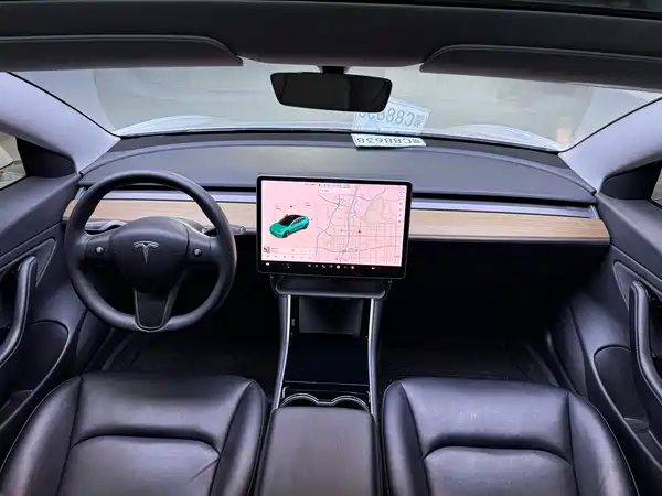 Tesla Model 3 2019